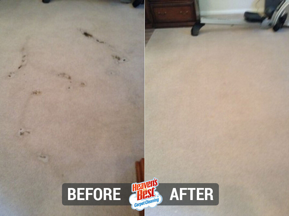 Heaven's Best Carpet & Upholstery Cleaning of Vail AZ
