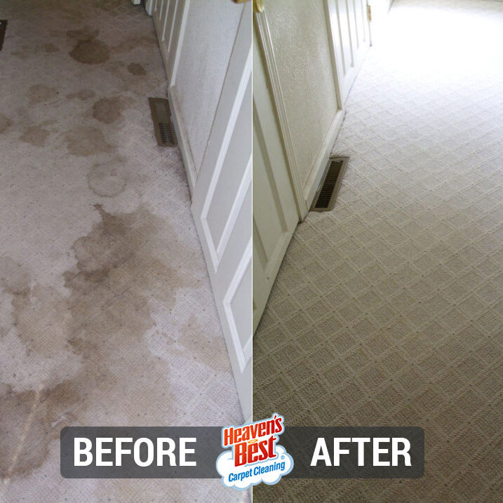 Heaven's Best Carpet & Upholstery Cleaning of Vail AZ